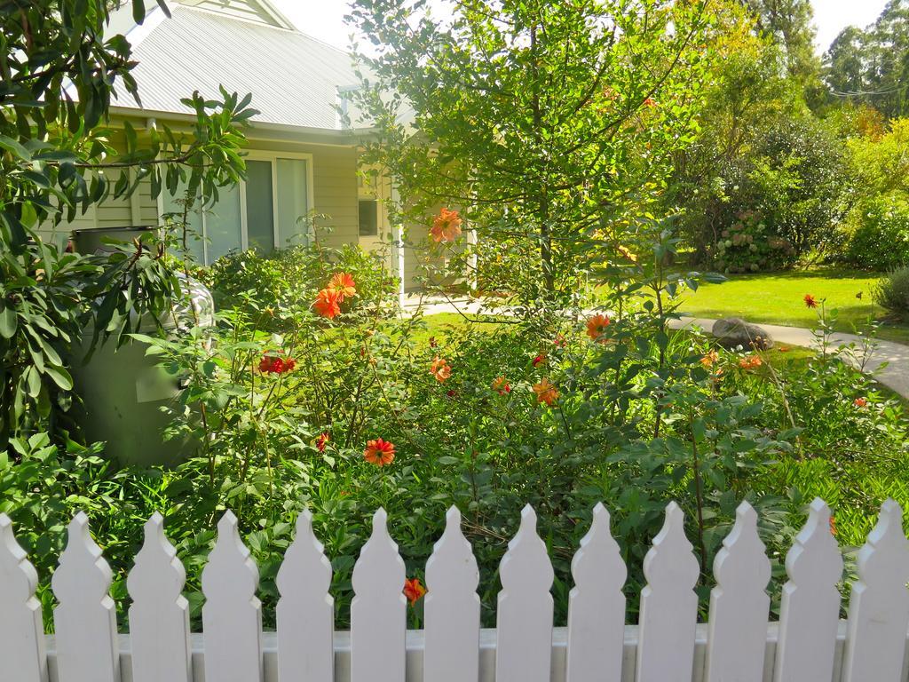 Amelina Cottages Marysville Exteriér fotografie